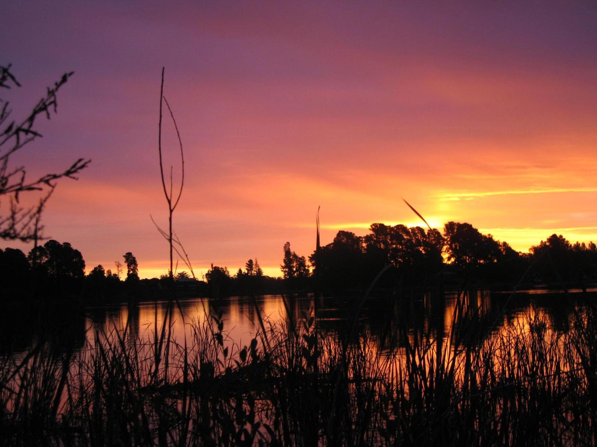 Beechworth Lake Sambell Caravan Park מראה חיצוני תמונה