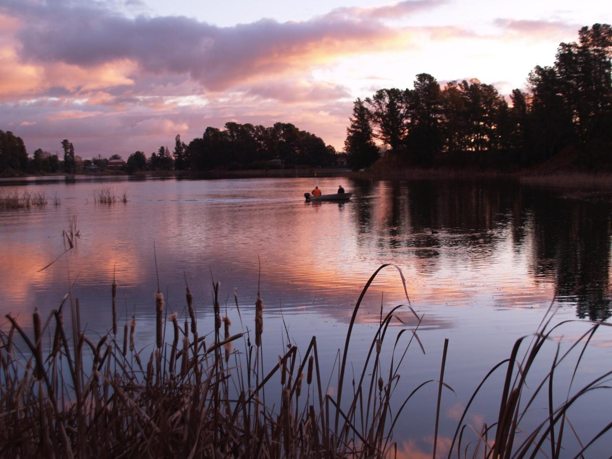 Beechworth Lake Sambell Caravan Park מראה חיצוני תמונה
